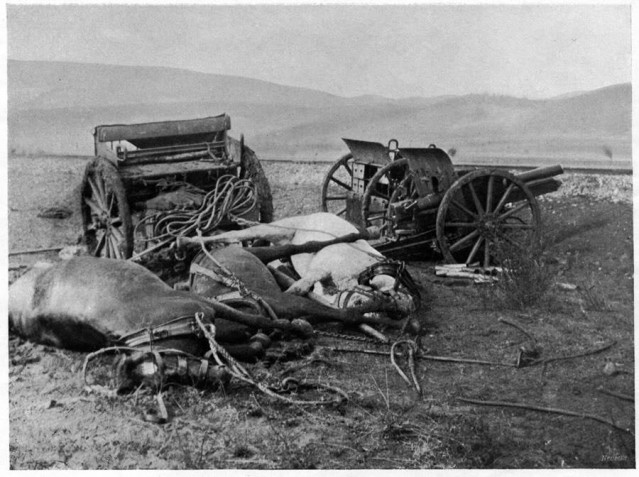 Savaşta telef olmuş Türk toplarını çeken Atlar. 1. Balkan Harbinden 1912 Kumanova