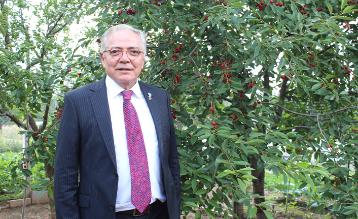 Mehmet Ali Karamemiş 
