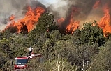 Ilgaz’da orman yangınına havadan müdahale edildi