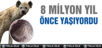 Çankırı'da 8 Milyon Yıl Önce Yaşıyordu