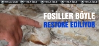 Fosiller böyle restore ediliyor