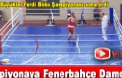 Şampiyonaya Fenerbahçe damgası! 14.12.2009