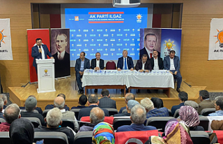 AK Parti İlçe Teşkilatları Danışma Toplantılarını...