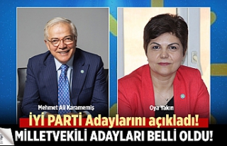 İYİ Parti Çankırı Milletvekili adayları belli...