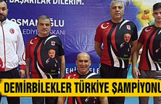 Çankırılı Demirbilekler Türkiye Şampiyonu oldu
