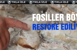 Fosiller böyle restore ediliyor