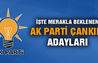 İşte AK Parti Çankırı milletvekili aday listesi!