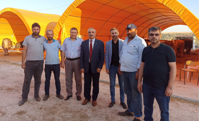 BBP İl Başkanı Musali Cemal Çankırı hayvan pazarını ziyaret etti!