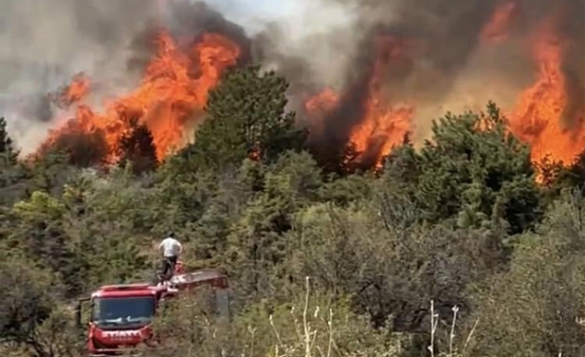 Ilgaz’da orman yangınına havadan müdahale edildi