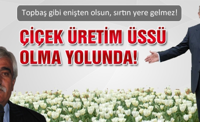 İstanbul'un çiçekleri Atkaracalar'dan gidecek!